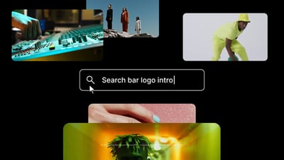 Search Bar