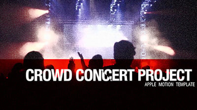 Crowd Concert