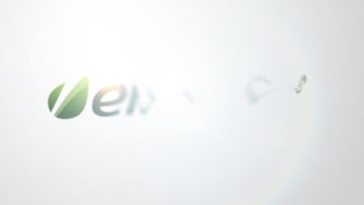 Clean Flip Logo