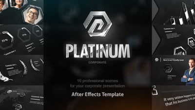 Platinum Corporate Package