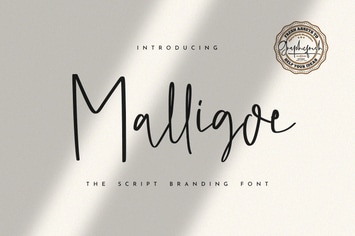 Malligoe - The Script Branding Font