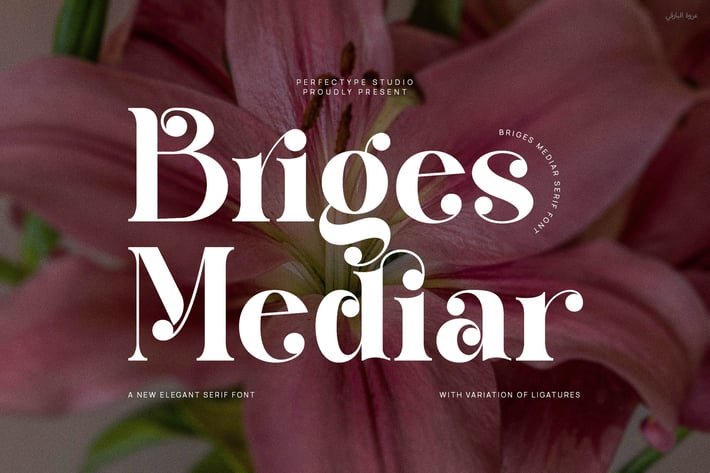 Briges Mediar Elegant Ligature Serif Font Typeface