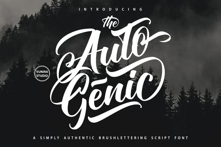Autogenic |  Brush Lettring Font