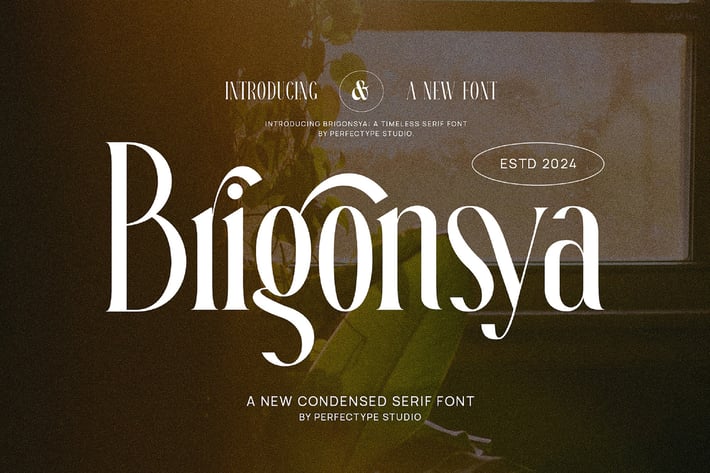 Brigonsya Elegant Ligature Serif Font Typeface