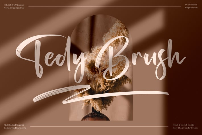 Tedy Brush Modern Brush Font