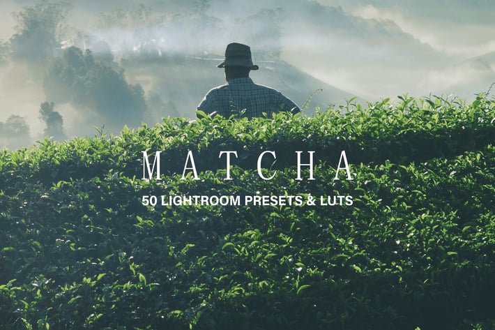 50 Matcha Lightroom Presets and LUTs
