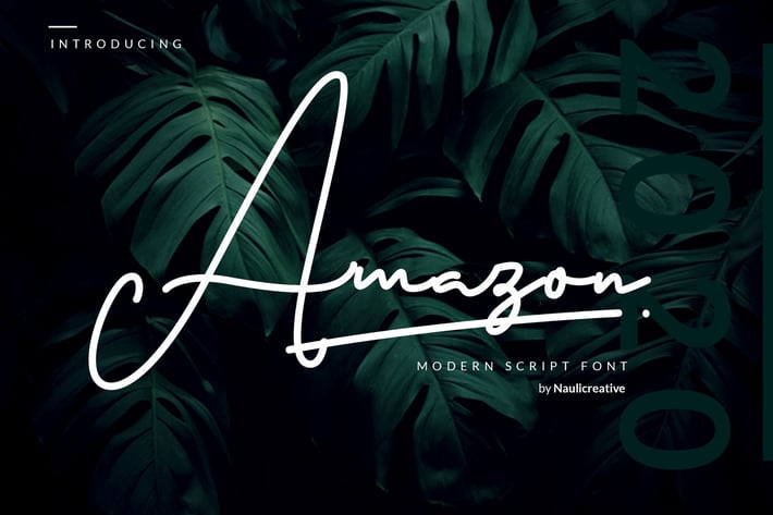 Amazon - Elegant Script