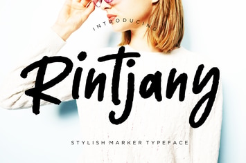 Rintjany Stylish Marker Business Font