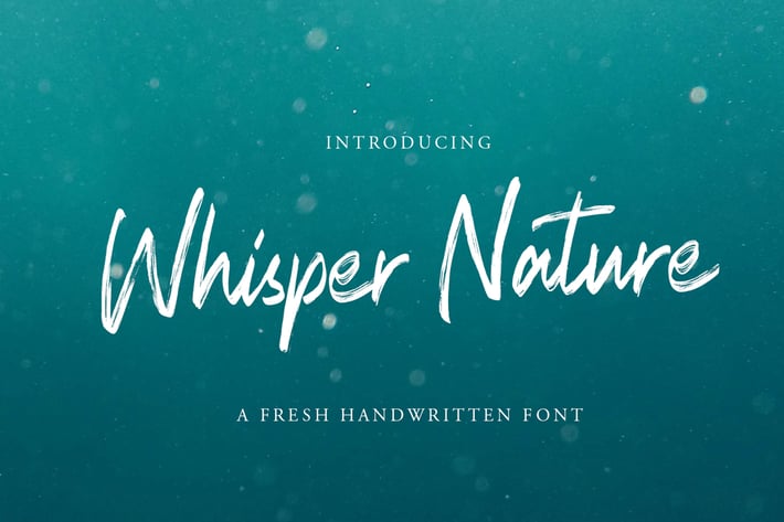 Whisper Nature Brush Script Font