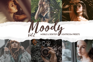 Moody Vol. 2 - 15 Premium Lightroom Presets
