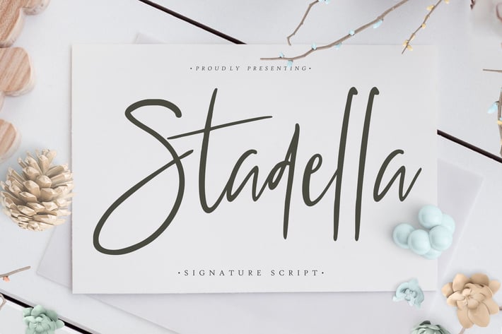 Stadella Signature Script Business Font
