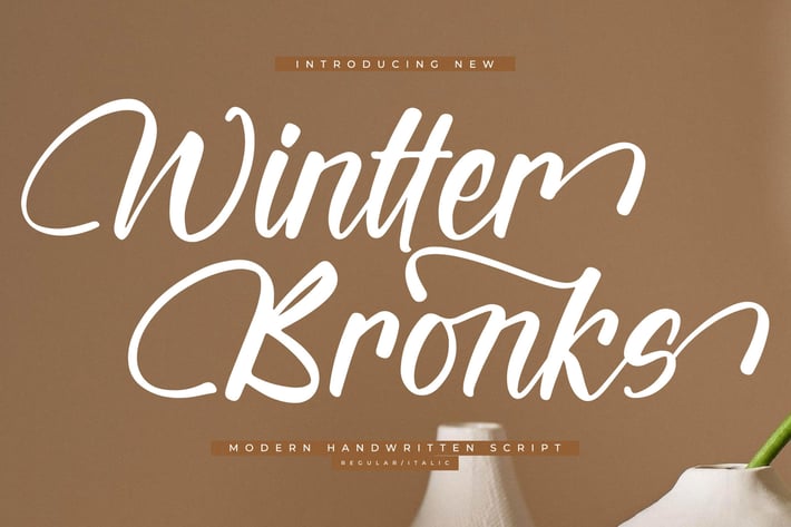 Wintter Bronks Modern Handwritten Script Font