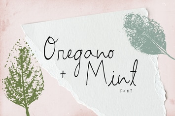 Oregano and Mint Font Trio