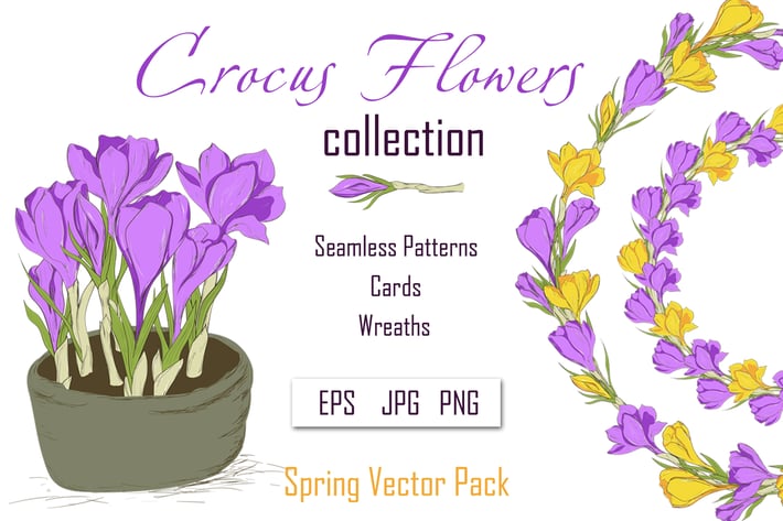 Crocus. Spring Flowers collection