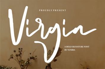 Virgia | A Bold Signature Font