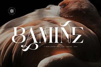 Bamine - Elegant & Stylish Serif