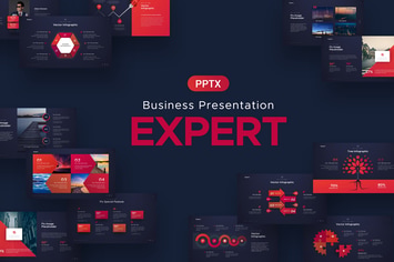 Expert Business Powerpoint Template