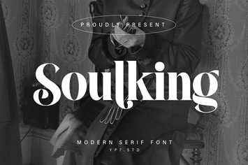 Elegant Modern Serif Display Font
