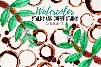 Watercolor Coffee Stains and Stalks