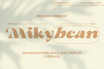 Mikybean - Bold Serfi Display