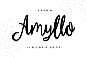 Amyllo - A Bold Script Typeface