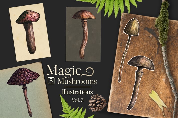 Magic Mushrooms Illustrations 3