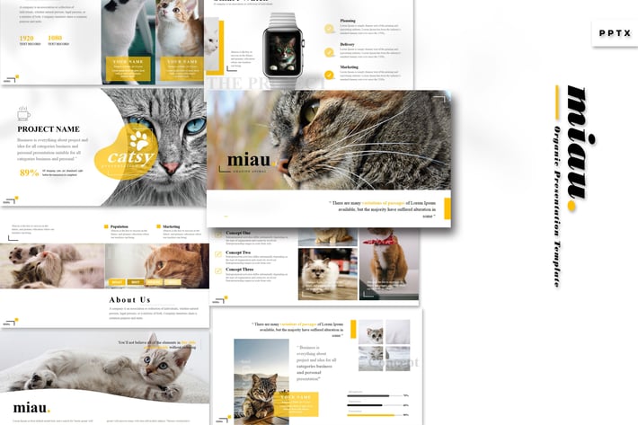 Miau - Powerpoint Template