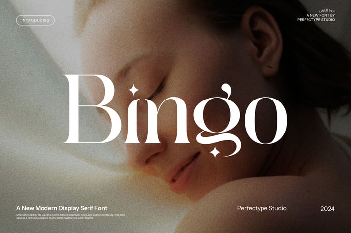 Bingo - Modern Serif Font