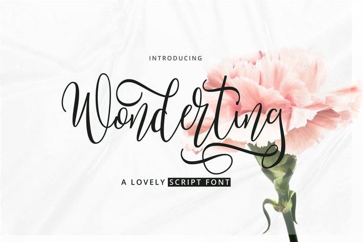 Wonderting Script