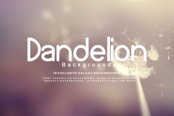 Dandelion Backgrounds