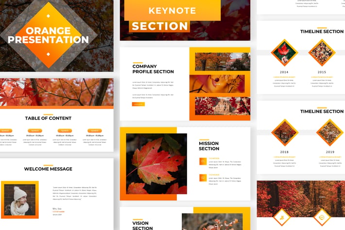 Orange - Business Keynote Template