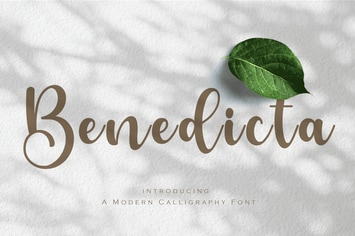 Calligraphy Font