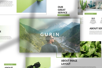 Gurin - PowerPoint