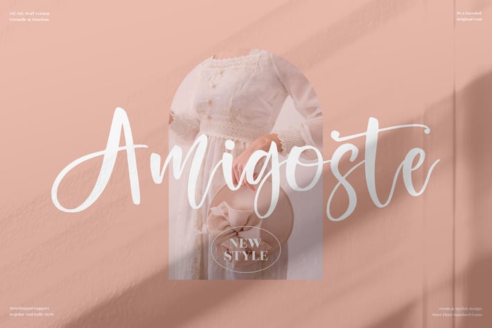 Amigoste Beautiful Script