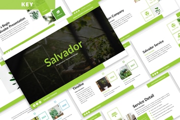 Salvador - Business Keynote Template