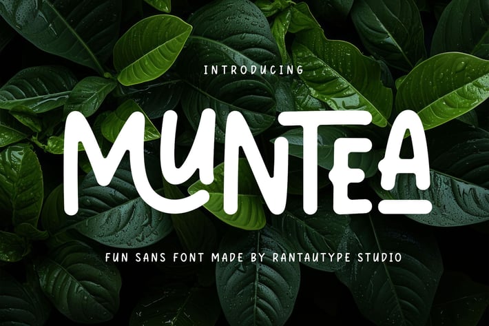 Muntea Fun Sans Font