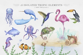 Ocean and Tropical animal Clipart