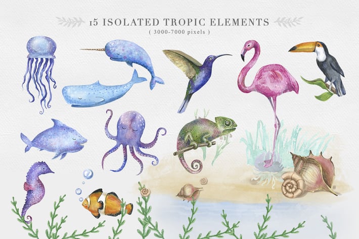 Ocean and Tropical animal Clipart