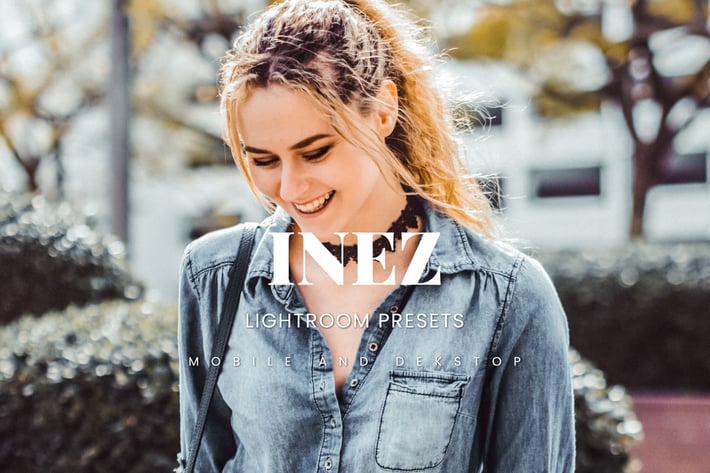 Inez Lightroom Presets Dekstop and Mobile