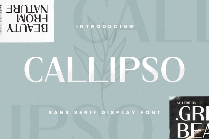 Callipso