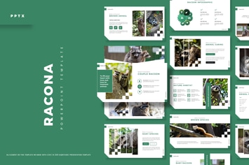 Racona - Powerpoint Template
