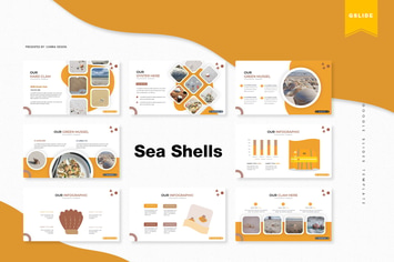 Sea Shells | Google Slides Template