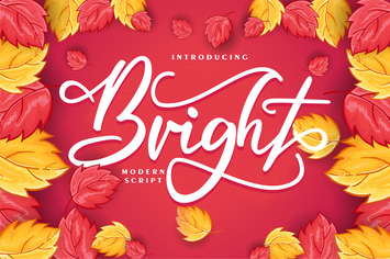 Bright | Modern Script Font