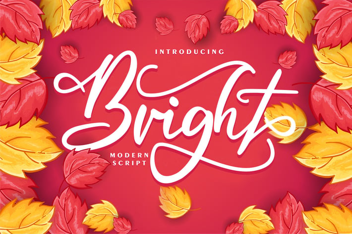 Bright | Modern Script Font