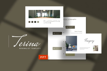 Terina - Brand Guideline Powerpoint
