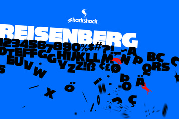 Reisenberg