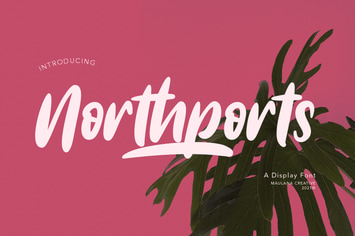 Northports Display Font