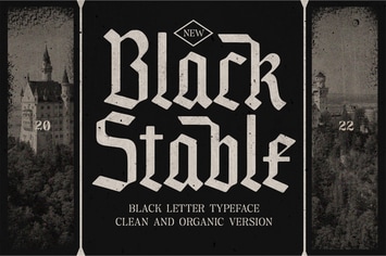 Black Stable 