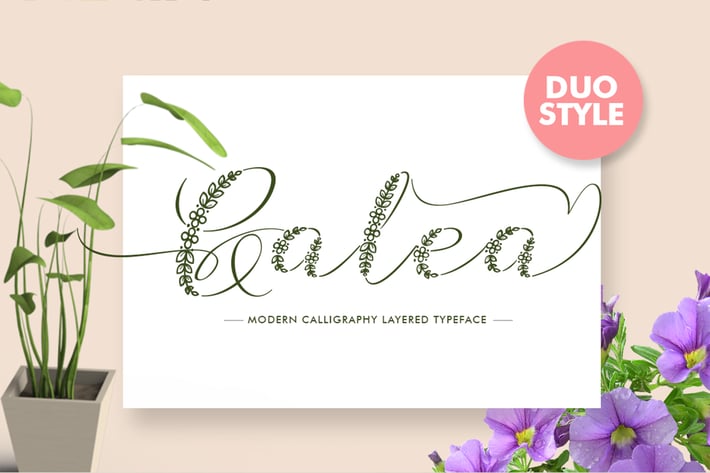 Galea Script