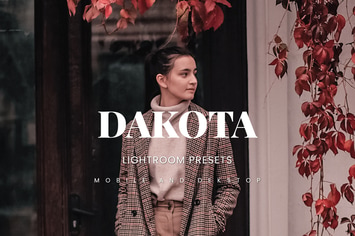 Dakota Lightroom Presets Dekstop and Mobile